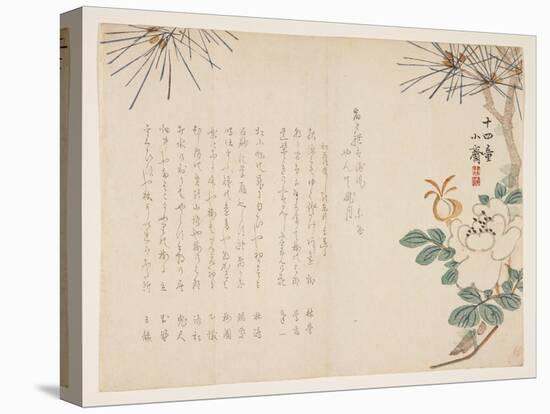 Pine and a Peony Flower, 1860-Tanomura Sh?sai-Premier Image Canvas