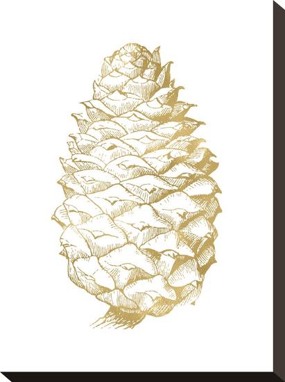 Pine Cone Golden White-Amy Brinkman-Stretched Canvas