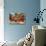 Pine Cones for Fall-Philippe Sainte-Laudy-Premier Image Canvas displayed on a wall