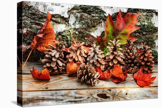 Pine Cones for Fall-Philippe Sainte-Laudy-Premier Image Canvas