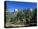 Pine Forest and Cliffs Above the Jucar Gorge, Cuenca, Castilla-La Mancha (New Castile), Spain-Ruth Tomlinson-Premier Image Canvas