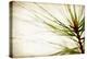 Pine Needles-Jessica Rogers-Premier Image Canvas