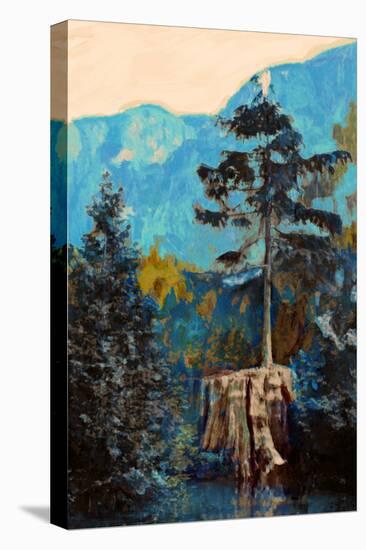 Pine on Blue-Anna Polanski-Stretched Canvas