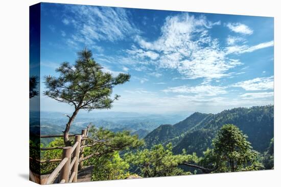 Pine Tree and Green Mountains at Tian Mu Shan Four Sides Peak, Zhejiang, China-Andreas Brandl-Premier Image Canvas