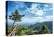 Pine Tree and Green Mountains at Tian Mu Shan Four Sides Peak, Zhejiang, China-Andreas Brandl-Premier Image Canvas