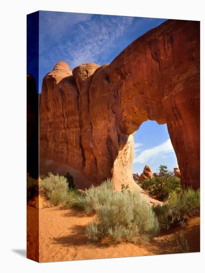 Pine Tree Arch in Arches National Park-Steve Terrill-Premier Image Canvas