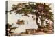 Pine-Tree at Matsushima-Ella Du Cane-Premier Image Canvas