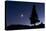 Pine Tree at Night with Moon Shining, on Stuoc Peak, Durmitor Np, Montenegro, October 2008-Radisics-Premier Image Canvas
