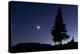 Pine Tree at Night with Moon Shining, on Stuoc Peak, Durmitor Np, Montenegro, October 2008-Radisics-Premier Image Canvas