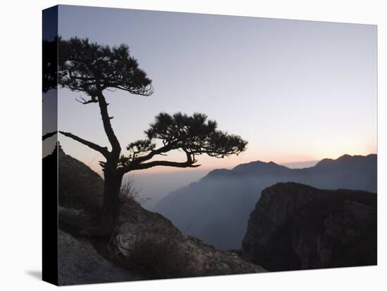 Pine Tree Silhouetted at Dusk on Lushan Mountain, Jiangxi Province-Christian Kober-Premier Image Canvas