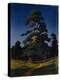 Pine Tree-Arkhip Ivanovich Kuindzhi-Premier Image Canvas