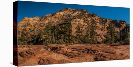 Pine trees and sandstone cliffs, Zion National Park, Utah, USA-null-Premier Image Canvas