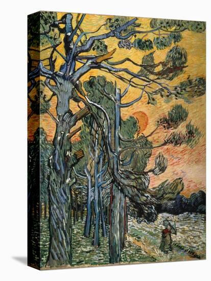 Pine Trees at Sunset, 1889-Vincent van Gogh-Premier Image Canvas