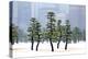 Pine trees, Tokyo Imperial Palace, Chiyoda-Ku,Tokyo, Japan-Jan Christopher Becke-Premier Image Canvas