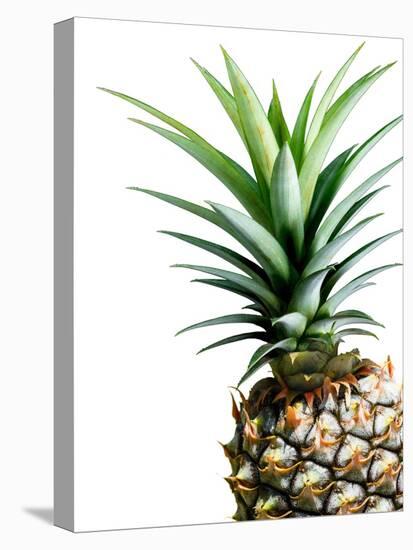 Pineapple (color)-Lexie Greer-Premier Image Canvas