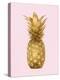 Pineapple Gold on Pink II-Kate Bennett-Stretched Canvas