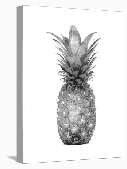 Pineapple Gray I-Kate Bennett-Stretched Canvas