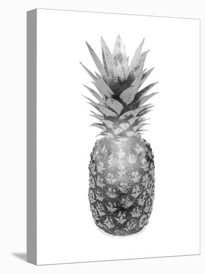 Pineapple Gray II-Kate Bennett-Stretched Canvas