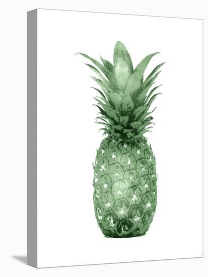 Pineapple Green I-Kate Bennett-Stretched Canvas