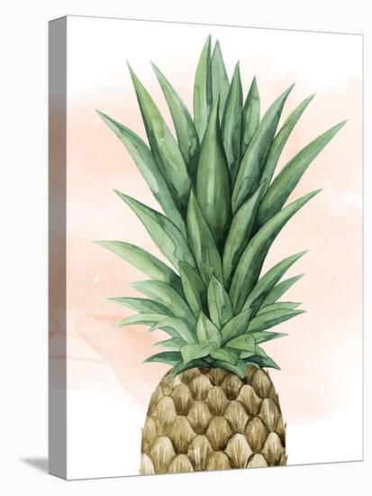 Pineapple on Coral I-Grace Popp-Stretched Canvas