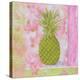 Pineapple Pink and Green Flower-Megan Aroon Duncanson-Stretched Canvas