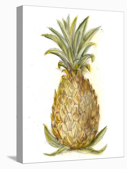 Pineapple Sketch I-Ethan Harper-Stretched Canvas