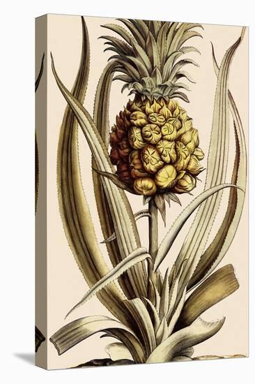 Pineapple-null-Premier Image Canvas