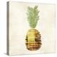 Pineapple-Kristin Emery-Stretched Canvas