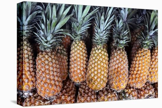 Pineapples Grown in the Amazon, Manaus, Brazil-Kymri Wilt-Premier Image Canvas