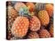 Pineapples, Sunshine Coast, Queensland, Australia-David Wall-Premier Image Canvas