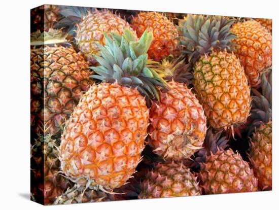 Pineapples, Sunshine Coast, Queensland, Australia-David Wall-Premier Image Canvas