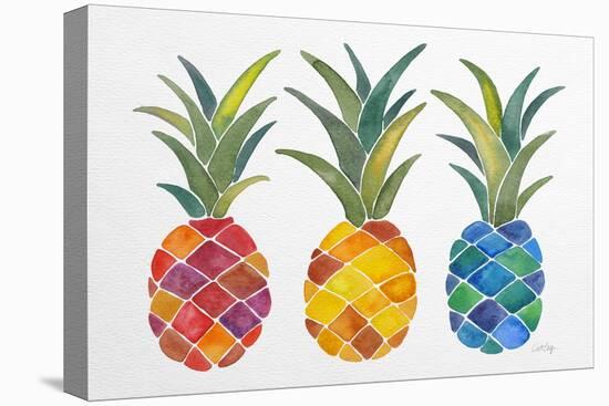 Pineapples-Cat Coquillette-Premier Image Canvas