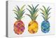 Pineapples-Cat Coquillette-Premier Image Canvas