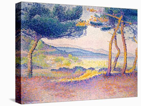 Pines Along the Shore, 1896-Henri-Edmond Cross-Premier Image Canvas