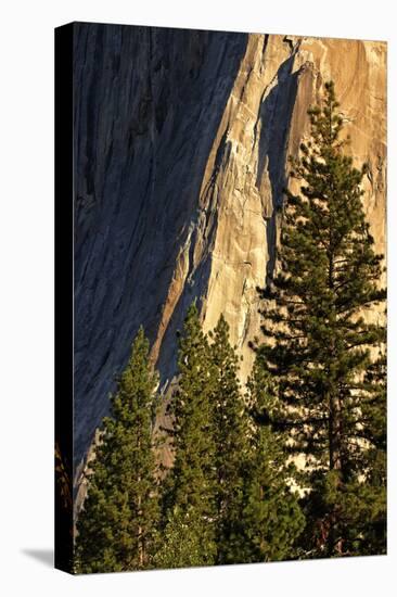 Pines at base of El Capitan, Yosemite National Park, California-Adam Jones-Premier Image Canvas