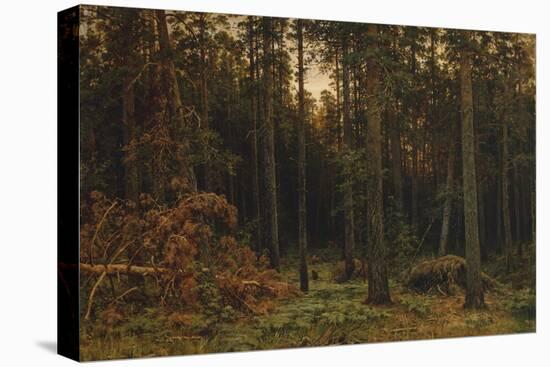 Pinewood, 1885-Ivan Ivanovich Shishkin-Premier Image Canvas