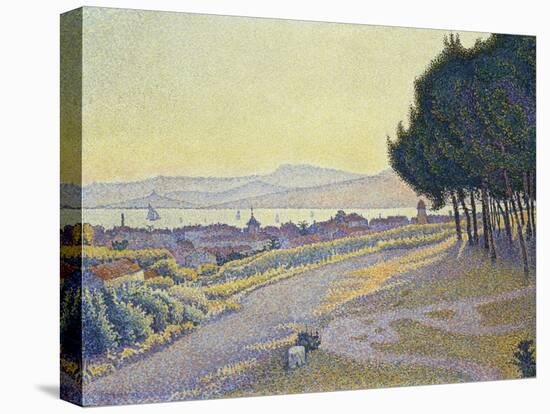 Pinewood, St. Tropez-Paul Signac-Premier Image Canvas