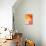 Pink and Orange Abstract Art Painting-T30Gallery-Stretched Canvas displayed on a wall