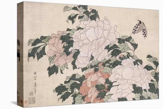 Pink and Red Peonies Blown to the Left in a Breeze and a Butterfly-Katsushika Hokusai-Premier Image Canvas