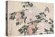 Pink and Red Peonies Blown to the Left in a Breeze and a Butterfly-Chokosai Eisho-Premier Image Canvas
