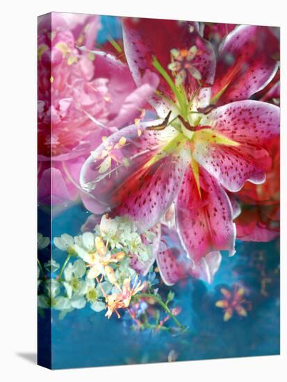 Pink and Red Poenies in Blue Green Water with Little Blossoms Layered-Alaya Gadeh-Premier Image Canvas