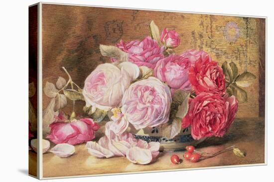 Pink and Red Roses in a Bowl-Mary Elizabeth Duffield-Premier Image Canvas