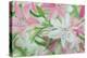 Pink and White Lilies IV-Sandra Iafrate-Stretched Canvas