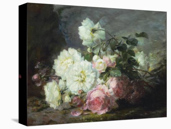 Pink and White Roses-Andre Perrachon-Premier Image Canvas