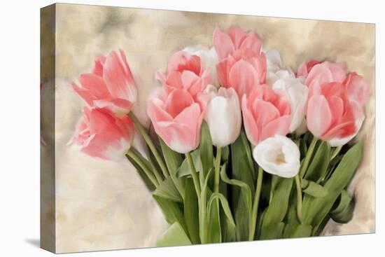 Pink And White Tulips-Kimberly Allen-Stretched Canvas