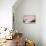 Pink Bathtub with Built in Bathmat-null-Stretched Canvas displayed on a wall