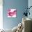 Pink Bloom I-Vanessa Austin-Stretched Canvas displayed on a wall