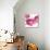 Pink Bloom I-Vanessa Austin-Stretched Canvas displayed on a wall