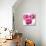 Pink Bloom II-Vanessa Austin-Stretched Canvas displayed on a wall