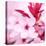 Pink Blossom-null-Premier Image Canvas